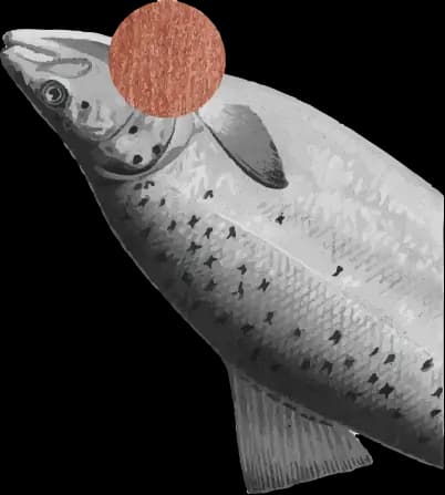 Sticker supporting MadeByStudents