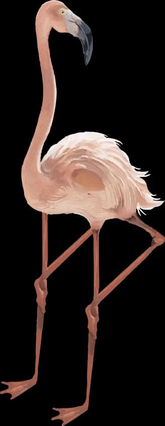 Flamingo supporting MadeByStudents